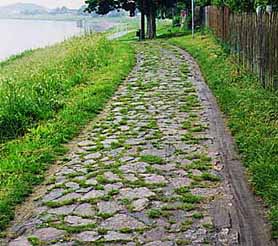 Cobblestone path